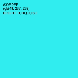 #30EDEF - Bright Turquoise Color Image